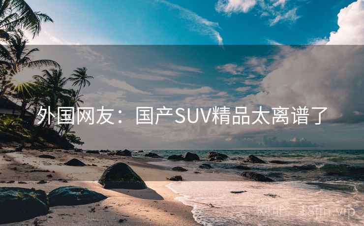 外国网友：国产SUV精品太离谱了  第2张