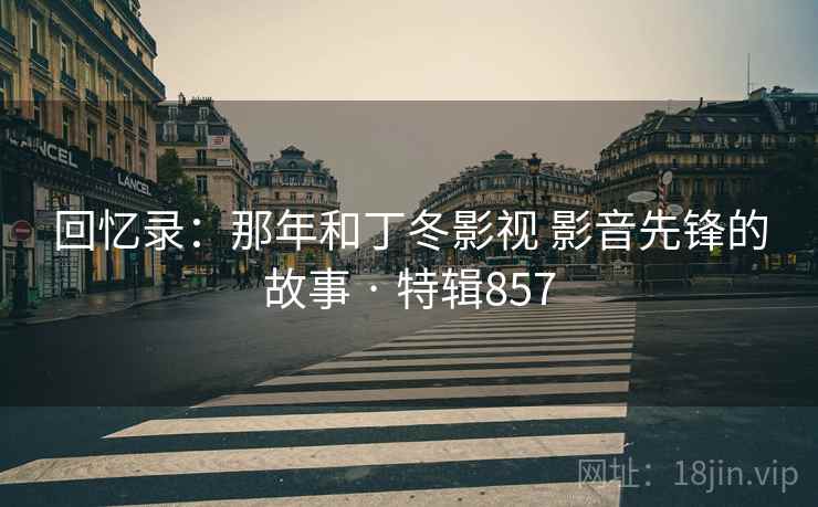 回忆录：那年和丁冬影视 影音先锋的故事 · 特辑857  第2张